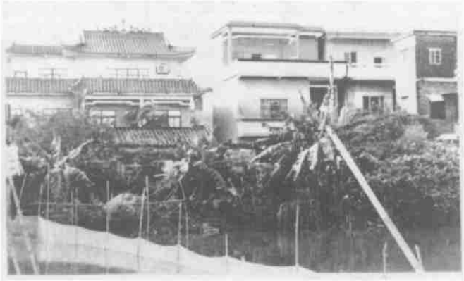 岭南文史投稿_岭南文史_岭南文史期刊