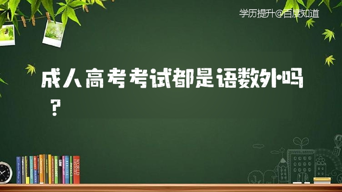 成人高考文史类考试科目_成人高考文史类包括哪些专业_成人高考文史类科目