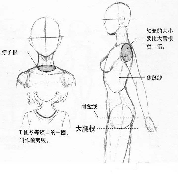 怎么画动漫人物_人物动漫化软件_人物动漫画图片大全