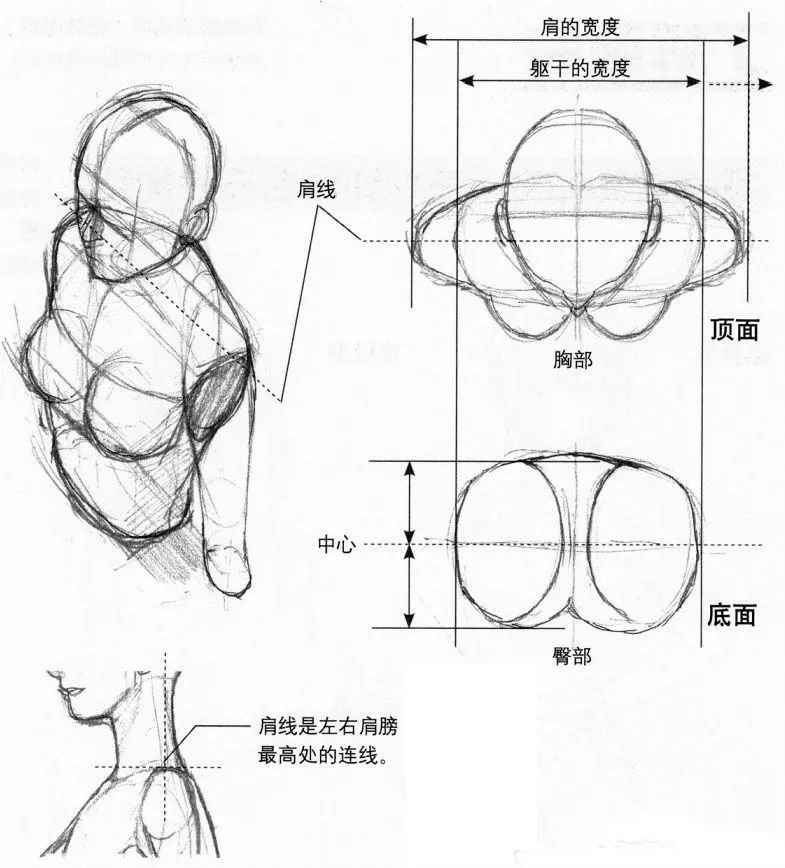 人物动漫化软件_怎么画动漫人物_人物动漫画图片大全