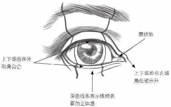如何将视频中的人物动漫化_人物动漫化软件_怎么画动漫人物
