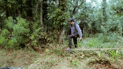 探索频道在哪看_探索频道是什么频道_探索频道