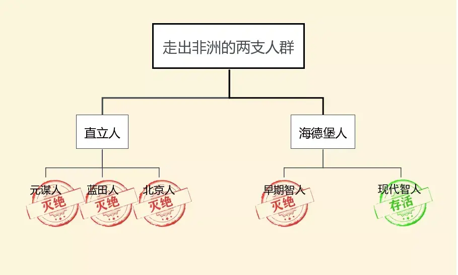 历史书籍推荐_历史书九年级电子版_历史书