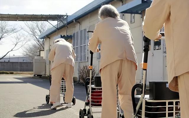 日本社会现状：年轻人活如丧尸，老年人喝酒等死，中年人被逼自杀