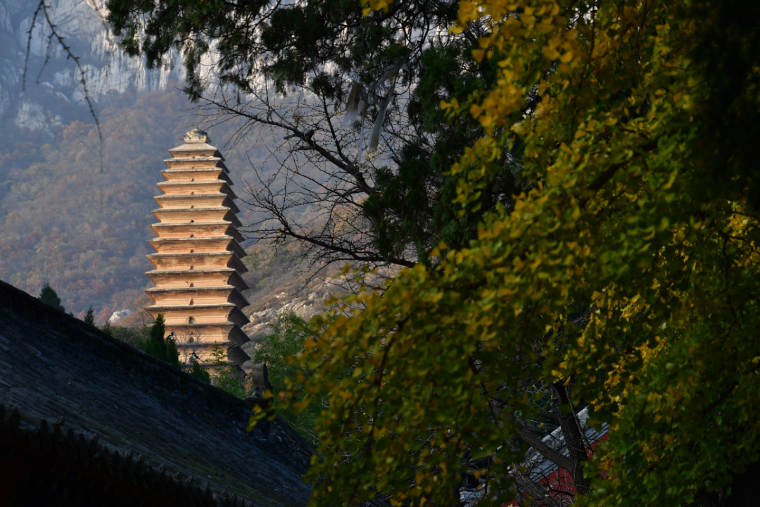 天地之中建筑群_天地之中历史建筑群_天地之中历史建筑群导游词