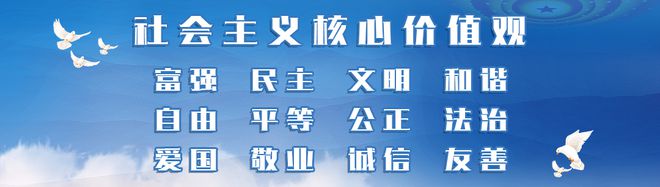 价值观的社会性_社会价值观的看法_社会价值观