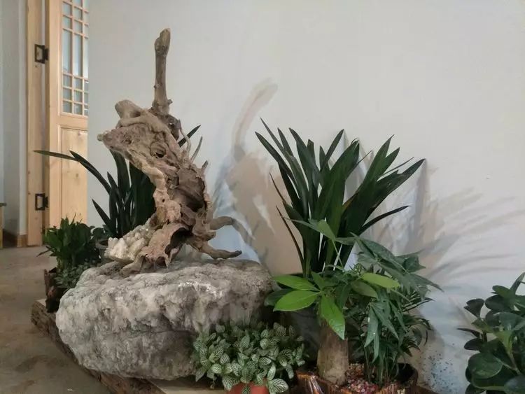 国学教育有哪些课程_国学教育机构_教育国学