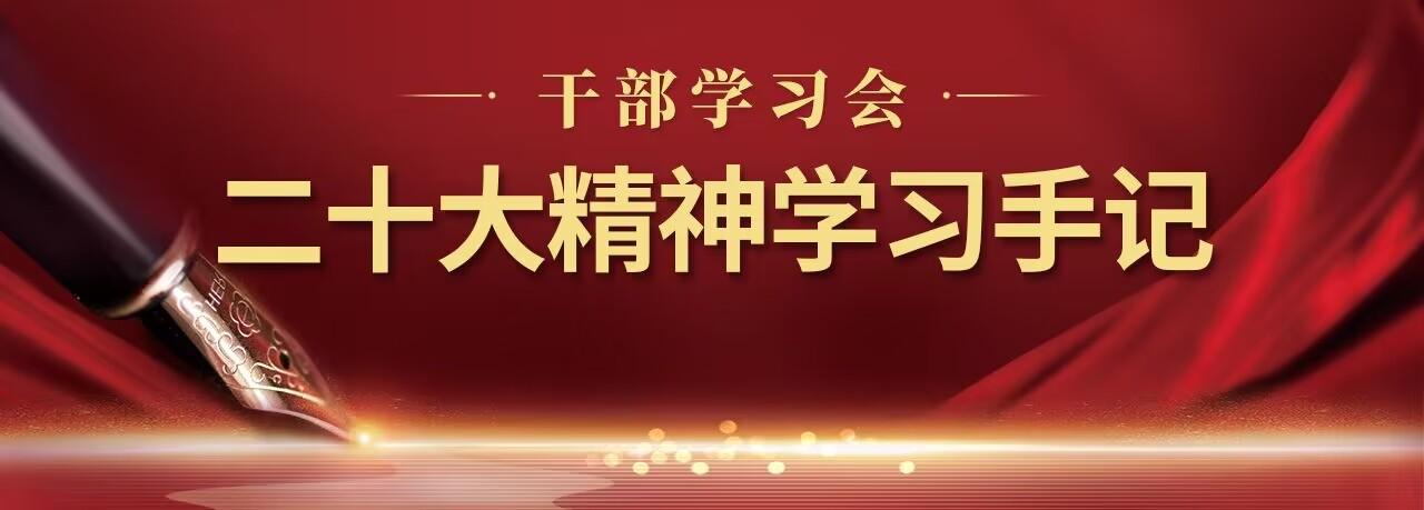 二十大精神学习手记｜完善社会治理体系，探索基层治理新模式