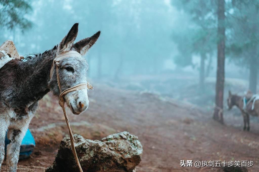 社会教育_社会教育的作用和意义_社会教育包括哪些方面