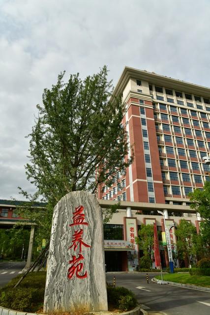 社会养老_养老社会化服务是指什么_养老社会环境分析怎么写