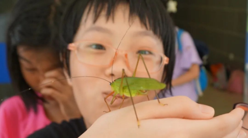 探索自然的句子_探索自然奥秘_自然探索