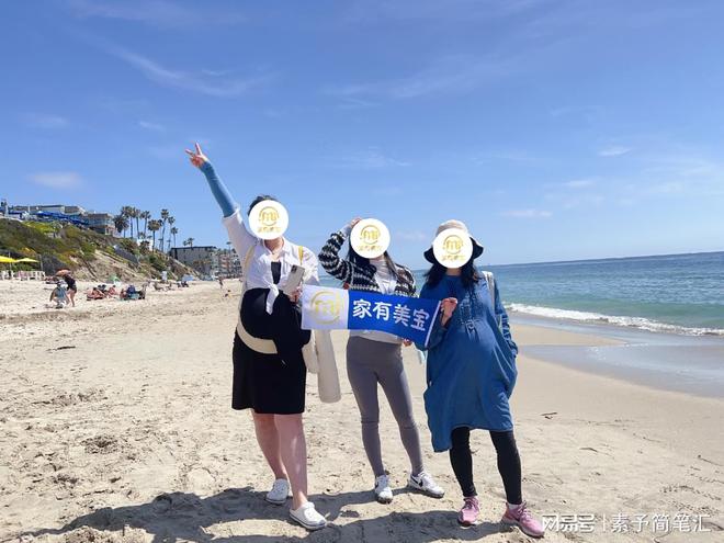 美国学校_学校美国白蛾防控方案_寄宿学校美国
