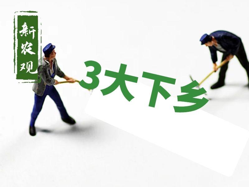 农村社会养老保险交多少年_农村社会_农村社会养老保险怎么交