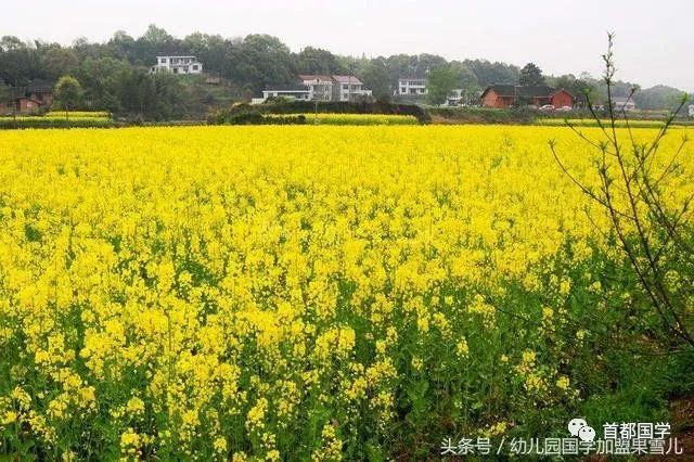 国学幼儿园主要学什么_国学幼儿园简介及办学特色_幼儿国学