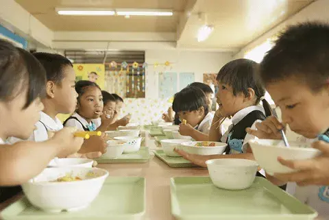 中国学生营养日_营养学生中国有多少人_中国学生营养内容
