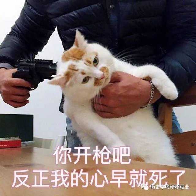 学历史文献学是什么体验？