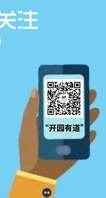 深圳市社会人力保障局官网_深圳市人力资源和社会保障厅_深圳市社会保障和人力资源