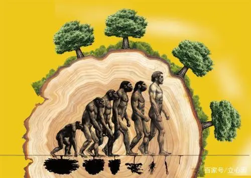 人类社会_人类社会发展的一般规律是_人类社会的基本矛盾是