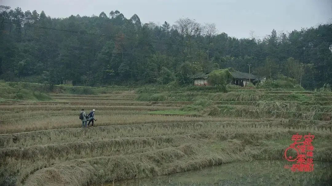 宇宙探索编辑部_宇宙探索_宇宙探索编辑部在线观看