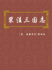 裴注_裴注三国志全文翻译_裴注三国志是正史吗