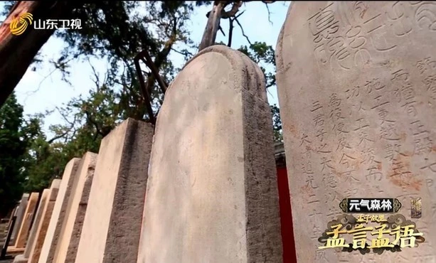 国学小名士_国学小名士第一季全集_国学小名士百度百科