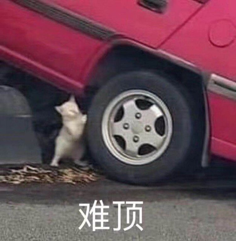 中国国学院大学百度百科_中国国学院大学排名_中国国学院大学
