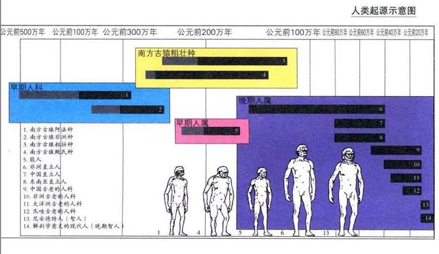 人类历史年龄最大的人_人类多少年历史_人类历史年代排序