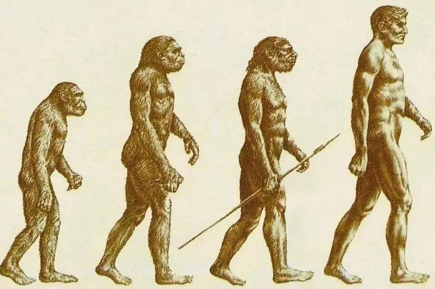 人类历史年龄最大的人_人类多少年历史_人类历史年代划分