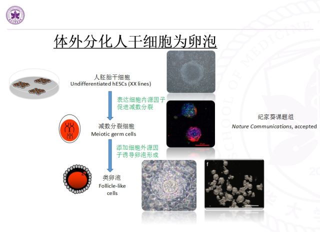 探索人类的起源_探索人类起源的科幻电影_探索人类