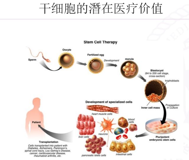 探索人类_探索人类起源的科幻电影_探索人类的起源