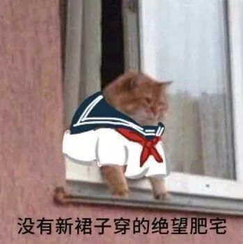 小米8探索版_小米探索版是什么意思_小米探索版手机