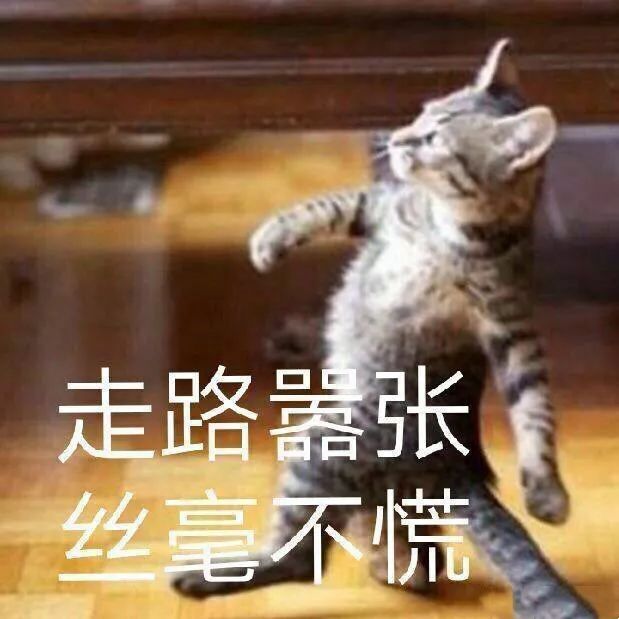 小米8探索版_小米探索版手机_小米探索版是什么意思