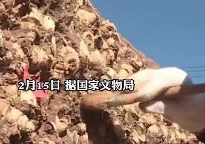 螺蛳历史合集_九年级历史螺蛳_螺蛳历史