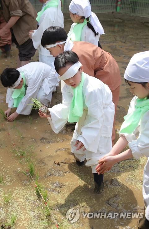 韩国学生累还是日本学生累_韩国学生压力大不大_韩国学