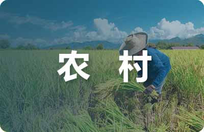探讨农村社会工作的实践与思考