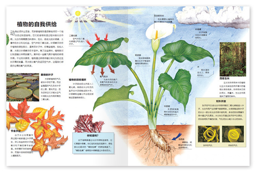 科学探索百科全书_科学探索大百科_探索科学百科