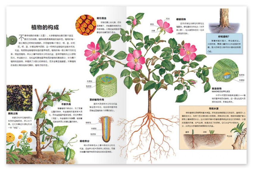 科学探索百科全书_科学探索大百科_探索科学百科