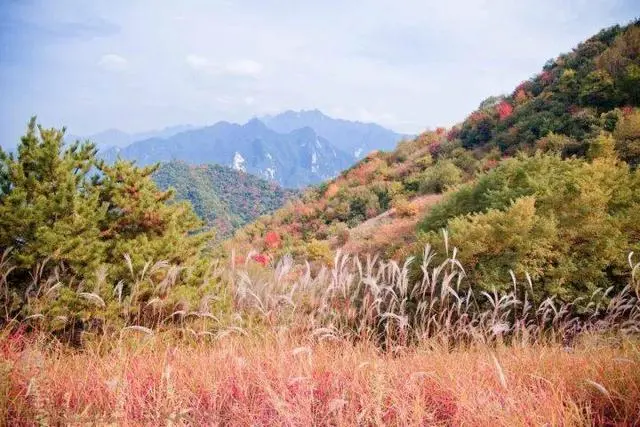 韩城文史公园地址_韩城文史公园为什么拆迁_韩城文史公园拆除违建