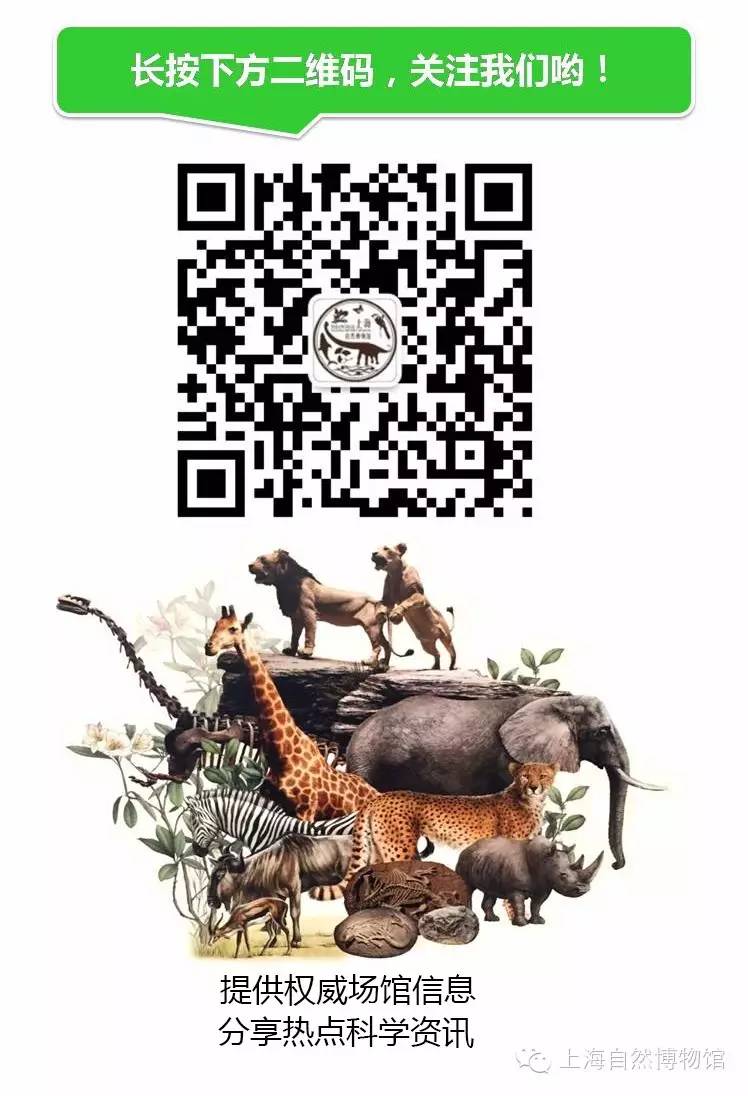 探索者号2020_探索者号携带资料_探索者号