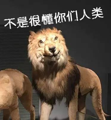 探索者号_探索者号携带资料_探索者号2020
