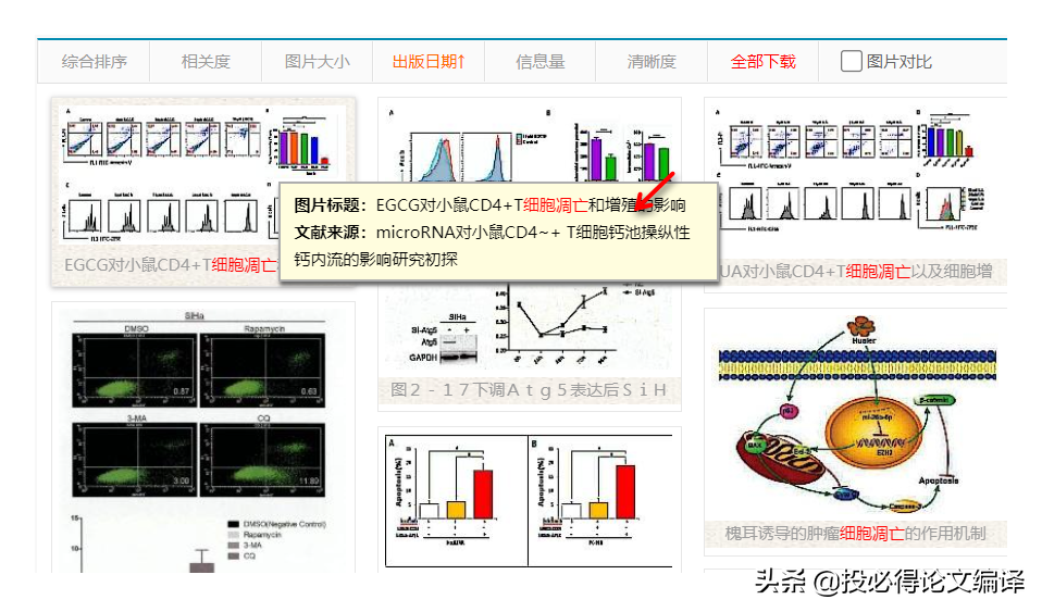 中国学术期刊网络出版总库在哪_中国学术期刊网络出版总库_中国学术期刊网络出版总库