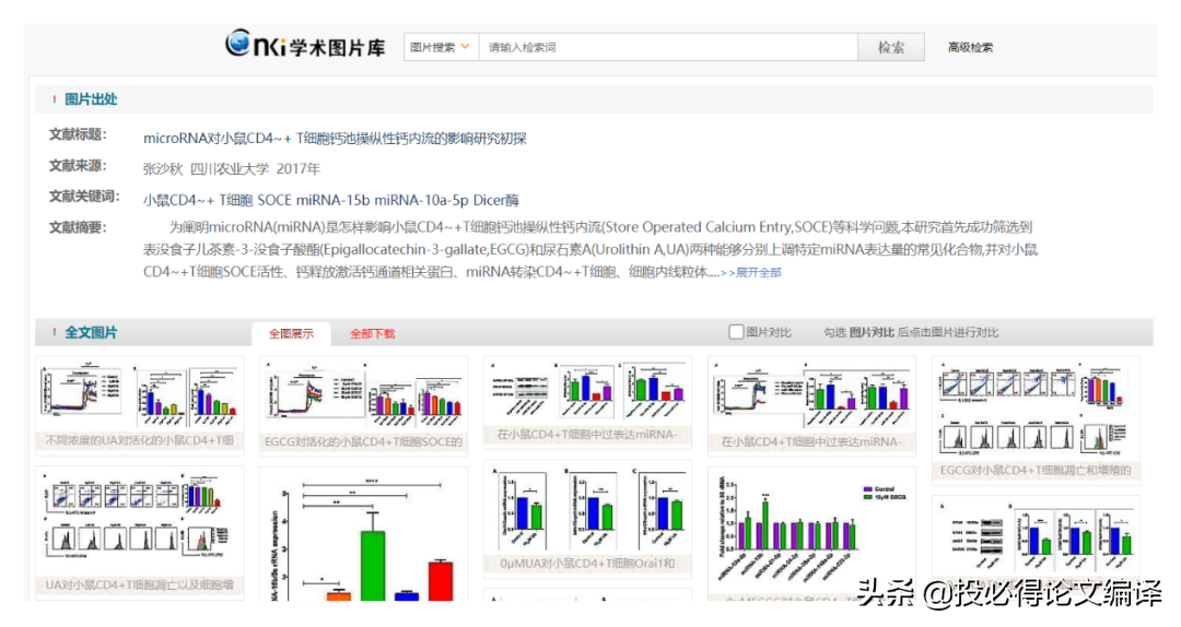 中国学术期刊网络出版总库在哪_中国学术期刊网络出版总库_中国学术期刊网络出版总库