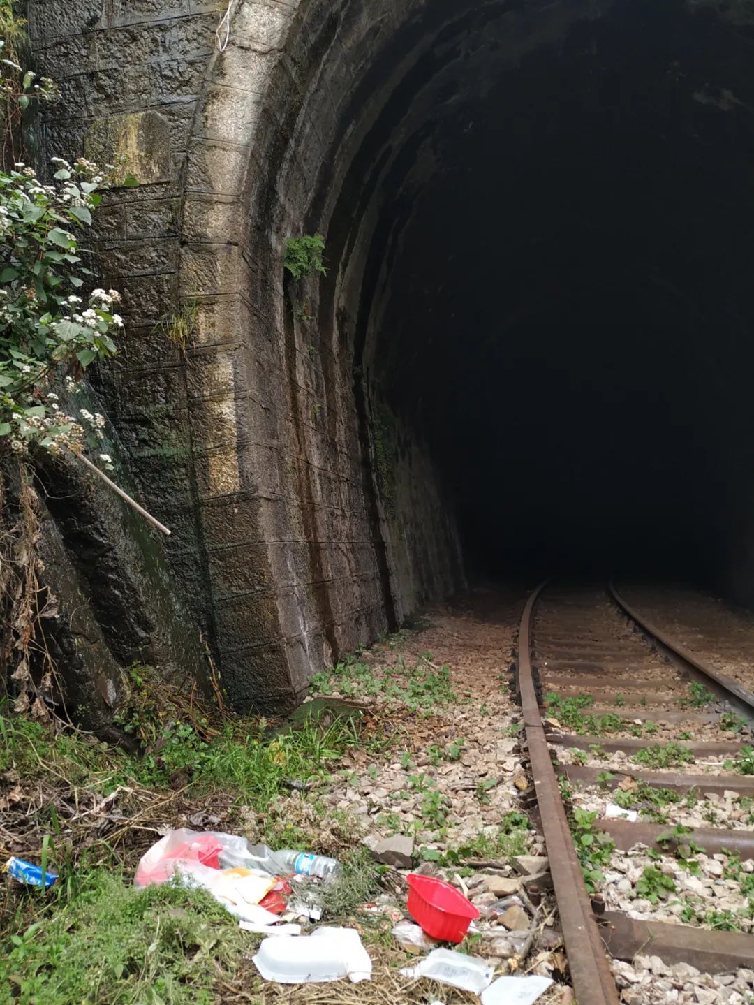 滇缅铁路历史_滇约铁路_滇越铁路历史