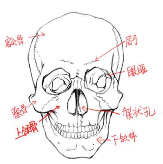 头部结构到底怎么画？动漫人物各角度头部的画法详解！