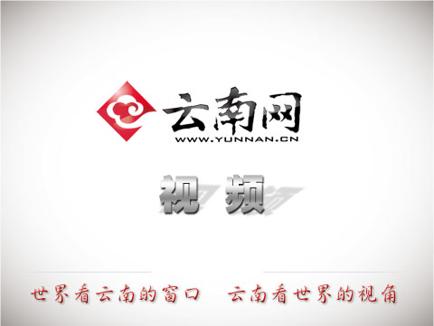 云南省文史研究馆是什么机构_云南省文史研究馆_云南省文物考古研究所