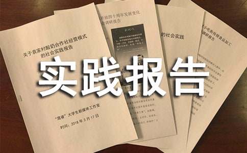 关于暑假社会实践报告的100个题目