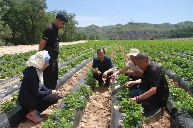 政协文史委_政协文史委的职能_政协文史委员会职能