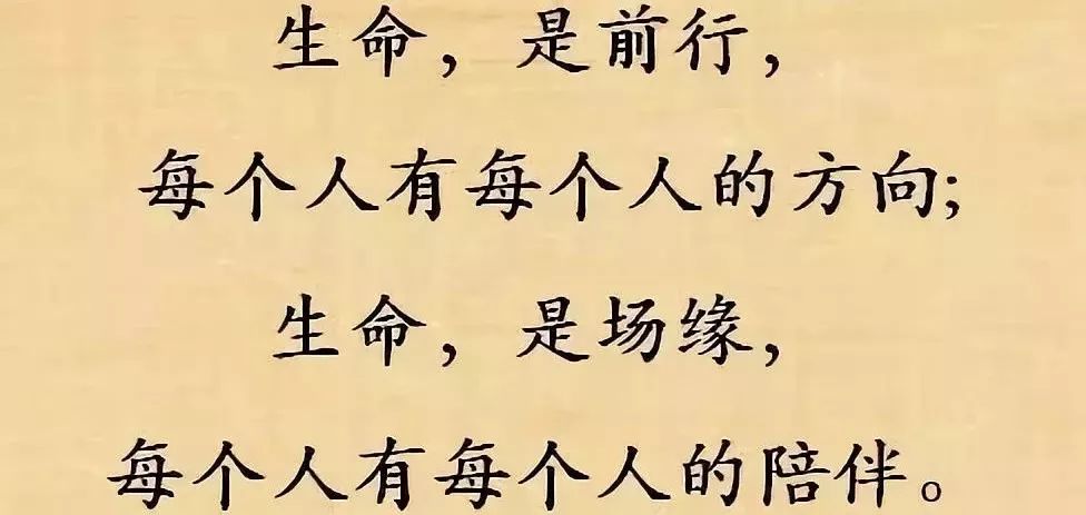 当今很残酷只有赚钱是条路_当今社会很残酷只有挣钱是出路_当今社会很残酷