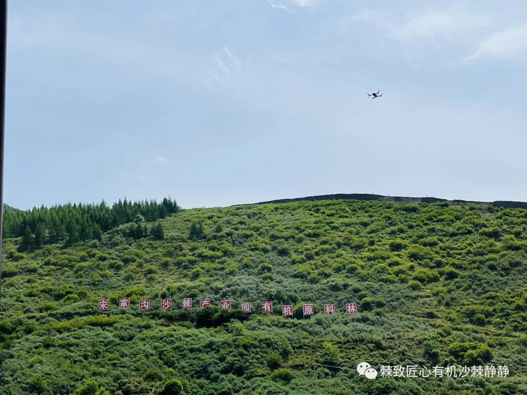 药书_药书古籍_药书大全图书