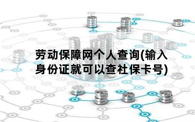 劳动保障网个人查询(输入身份证就可以查社保卡号)